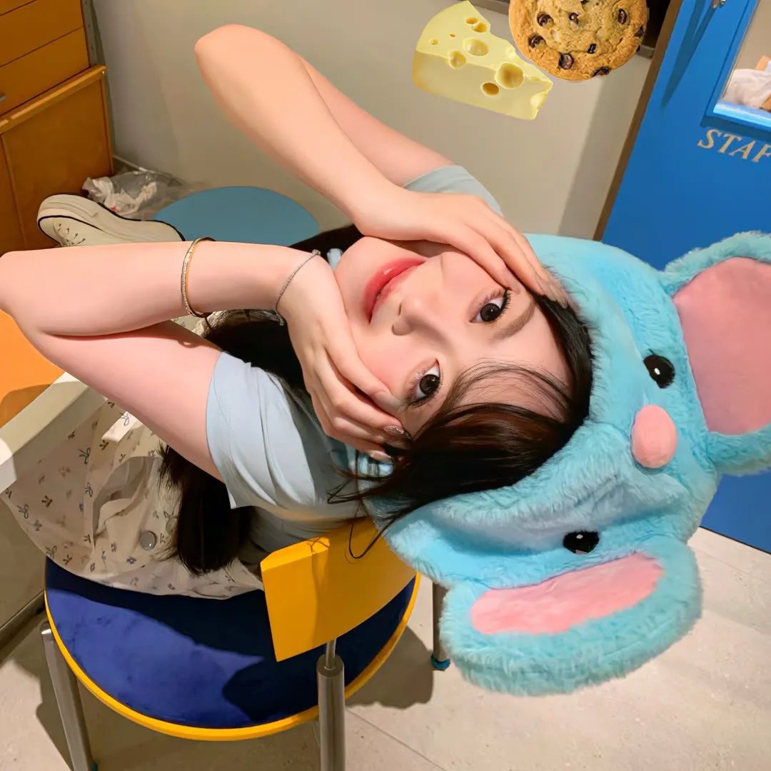 精灵高中之纽约 封面