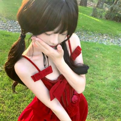 少女情怀尽是诗 封面