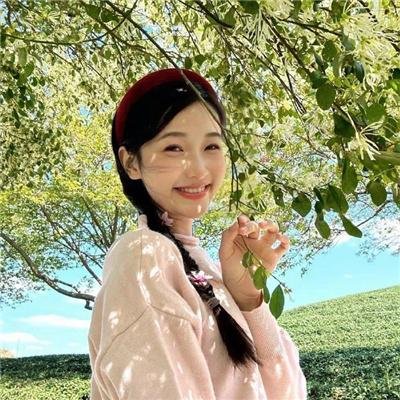 滑稽夫人 封面